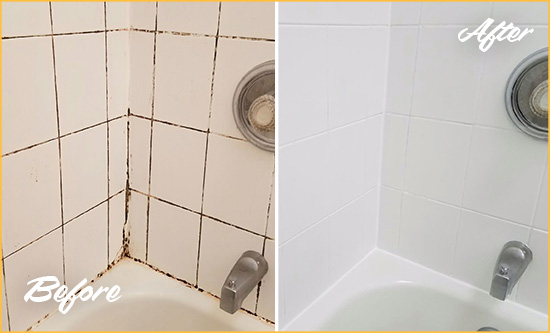 Before and After Picture of a Theodore Shower Tile and Grout Cleaned to Eliminate Mold