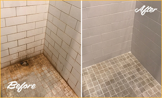 Before and After Picture of a Theodore Shower Tile and Grout Cleaned to Eliminate Mold and Stains