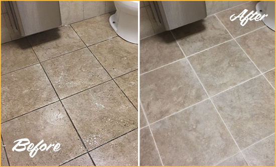Before and After Picture of a Theodore Restroom Tile and Grout Cleaned to Remove Soil